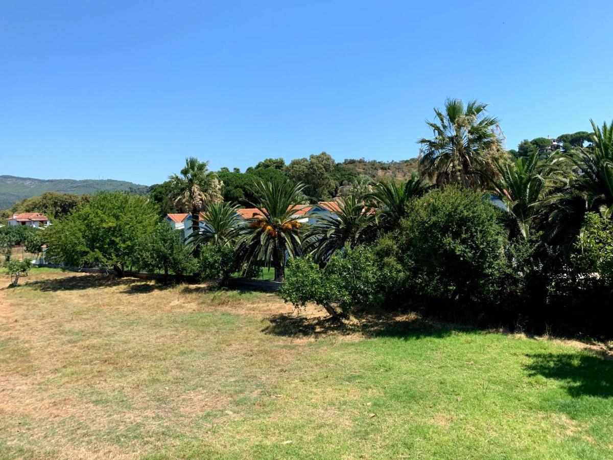Villas Alexandra Skiathos Platanias  Dış mekan fotoğraf
