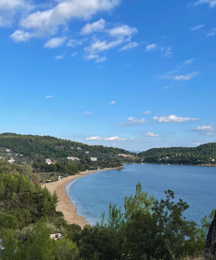 Villas Alexandra Skiathos Platanias  Dış mekan fotoğraf