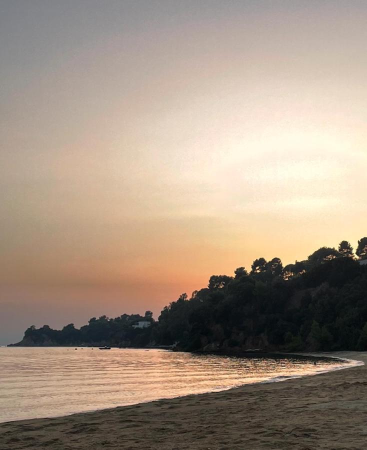 Villas Alexandra Skiathos Platanias  Dış mekan fotoğraf
