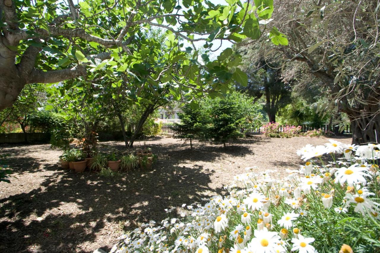Villas Alexandra Skiathos Platanias  Dış mekan fotoğraf