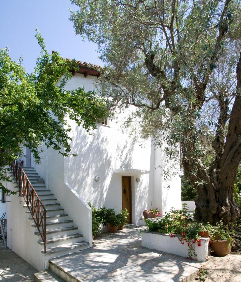 Villas Alexandra Skiathos Platanias  Dış mekan fotoğraf