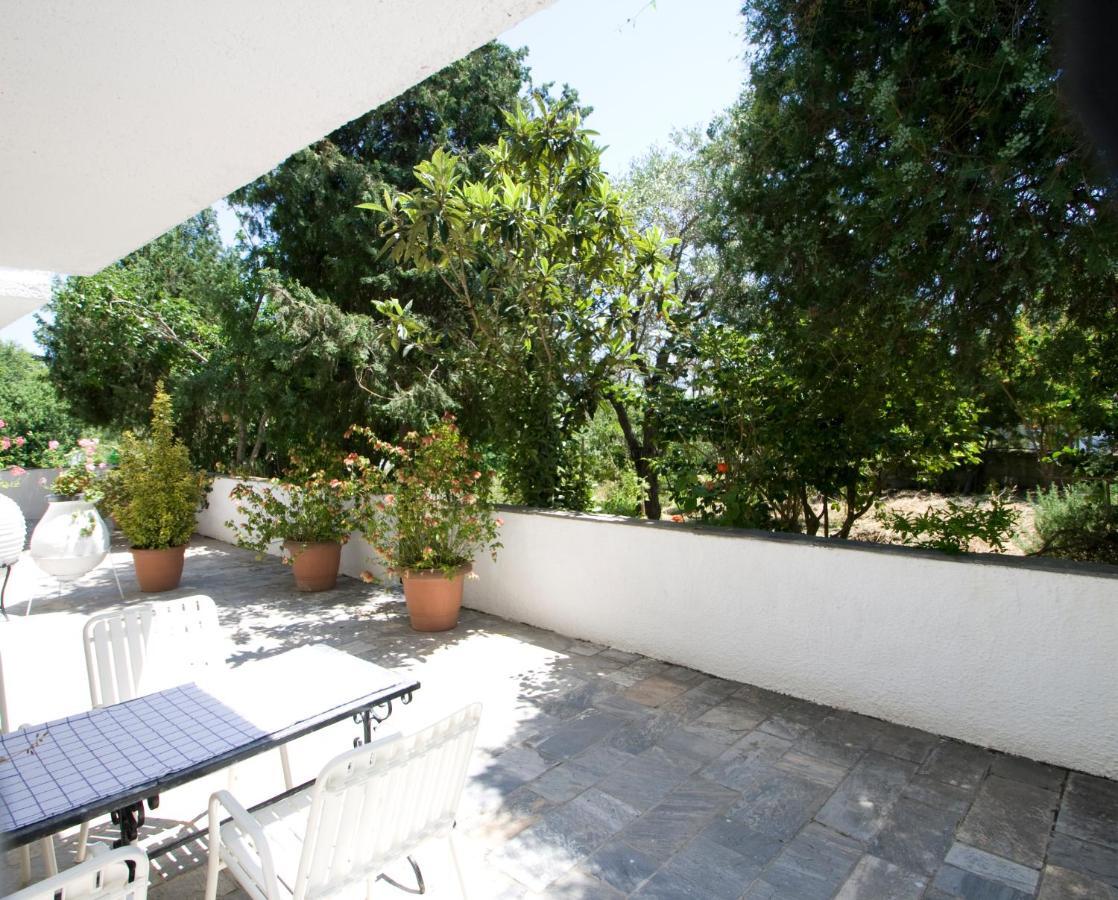 Villas Alexandra Skiathos Platanias  Dış mekan fotoğraf