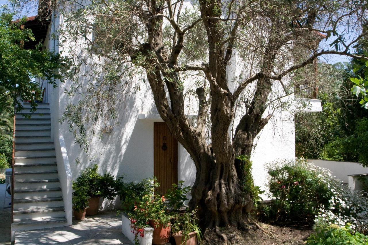 Villas Alexandra Skiathos Platanias  Dış mekan fotoğraf